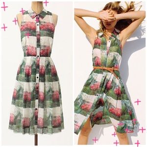 Anthropologie Midi Dress Photograph Print