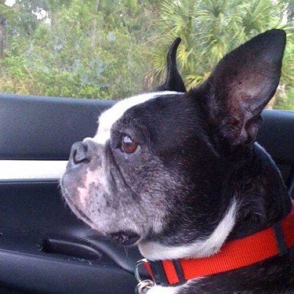 There's a bundle of savings, buy 2 and save 20% - Picture 2 of 3