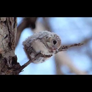 Meet your Posher, Yi