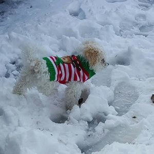 Meet your Posher, Danielle