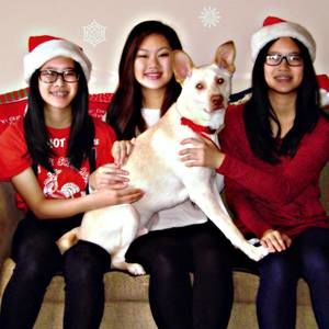 Meet your Posher, Raymond