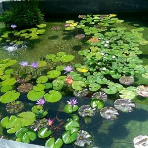 Meet your Posher, Angie