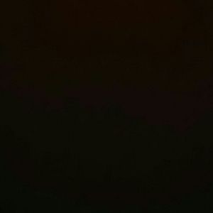 Meet your Posher, Jaden