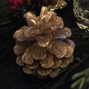 Meet your Posher, Lorena