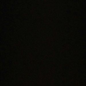 Meet your Posher, Benjamin