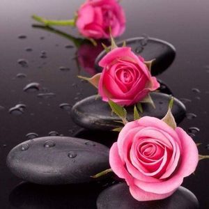 Meet your Posher, Joy