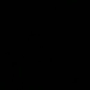 Meet your Posher, Shane