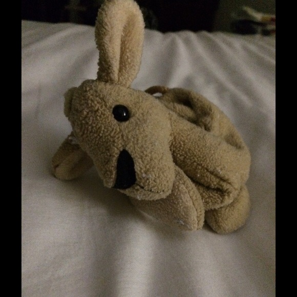 Meet your Posher, Oscar - Picture 1 of 1