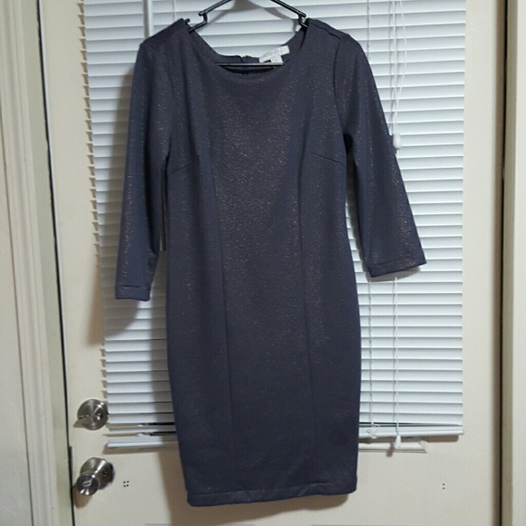Shimmering Gray Dress - Picture 1 of 2