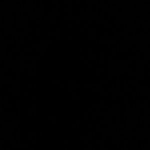 Meet your Posher, Carlos