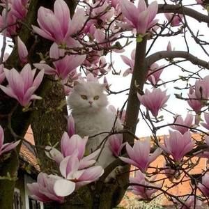 Meet your Posher, Jane