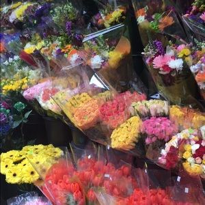 Meet your Posher, Vanya