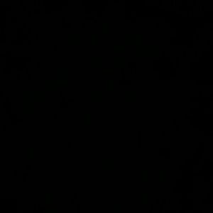 Meet your Posher, Hector