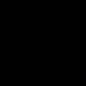 Meet your Posher, Gail