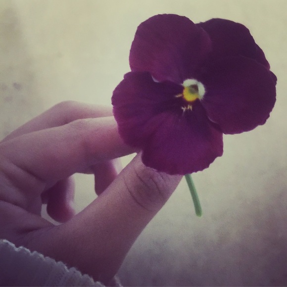 Meet your Posher, Angelina