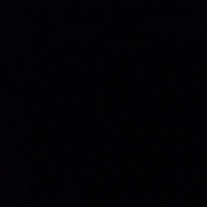 Meet your Posher, Amelia