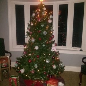 Meet your Posher, Zuly