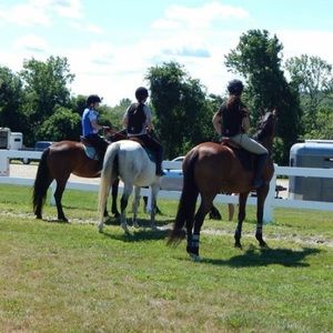 Meet your Posher, Serena