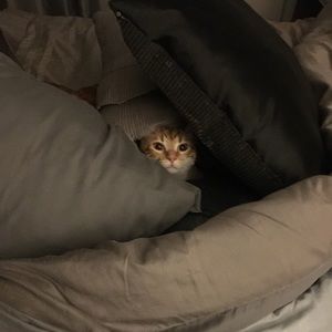 Meet your Posher, Cynthia