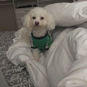 Meet your Posher, Caroline