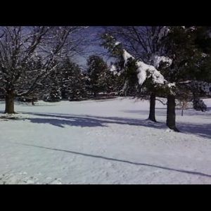 Meet your Posher, Gregg