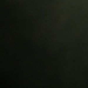 Meet your Posher, Mimi