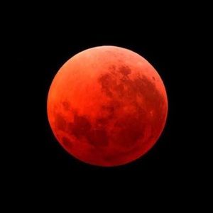 Meet your Posher, Wendie