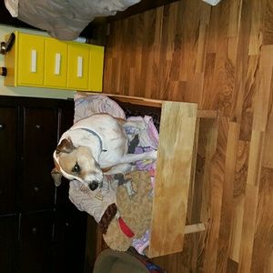 Meet your Posher, Tara