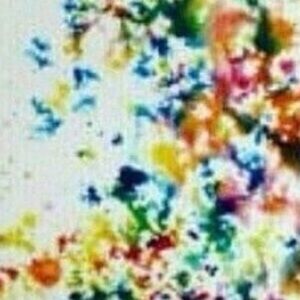 Meet your Posher, Alyza