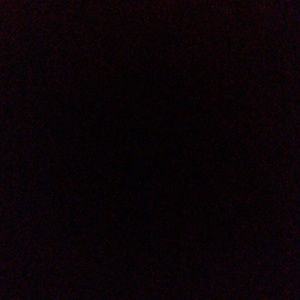 Meet your Posher, Tami