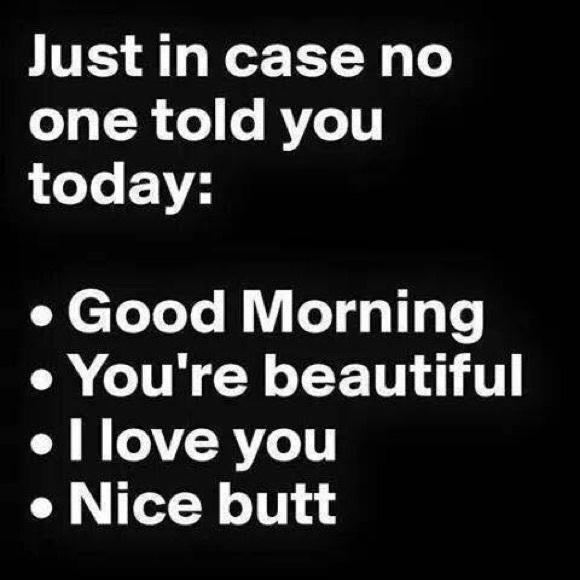 Meet your Posher, Ellie - Picture 3 of 4