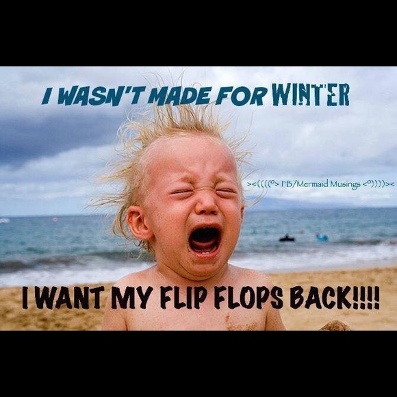 Meet your Posher, Ellie - Picture 4 of 4