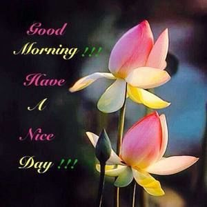 Meet your Posher, Jackieline