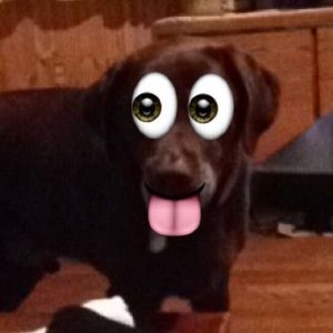 Meet your Posher, Beverly