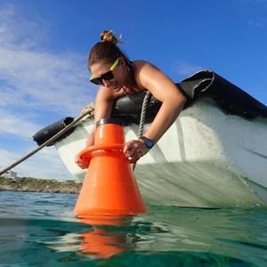 Meet your Posher, Laura