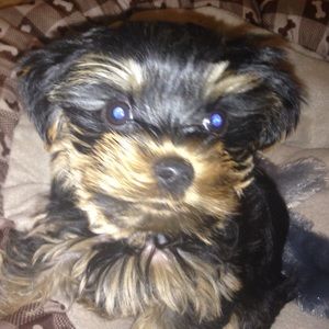 Meet your Posher, Brooke