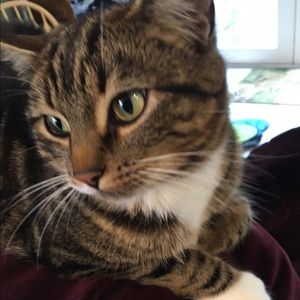 Meet your Posher, Jessica