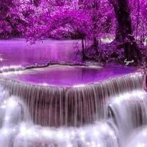 Meet your Posher, Mona