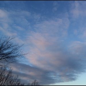 Meet your Posher, Stella