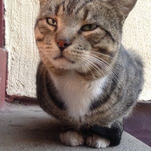 Meet your Posher, Geraldine