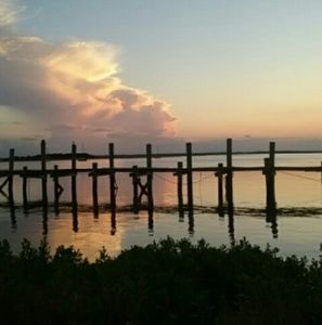 Meet your Posher, Lily