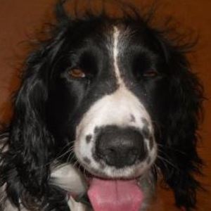 Meet your Posher, Teri