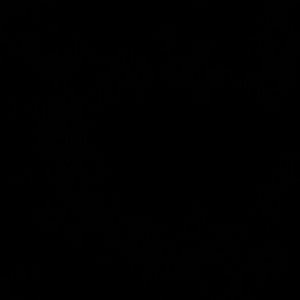 Meet your Posher, Kenna