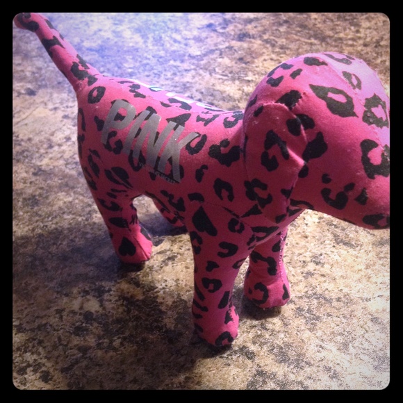 PINK VS small dog