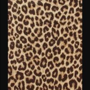 Meet your Posher, Kyra