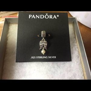 Pandora charm