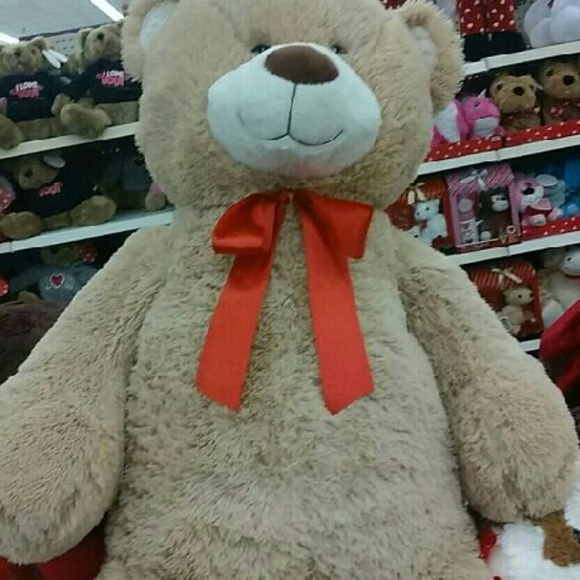 Meet your Posher, Adrian - Picture 1 of 1