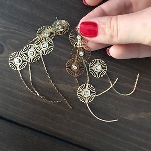 Francesca's Earnings