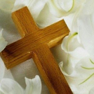 Meet your Posher, Shantell