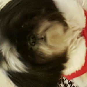 Meet your Posher, Linda